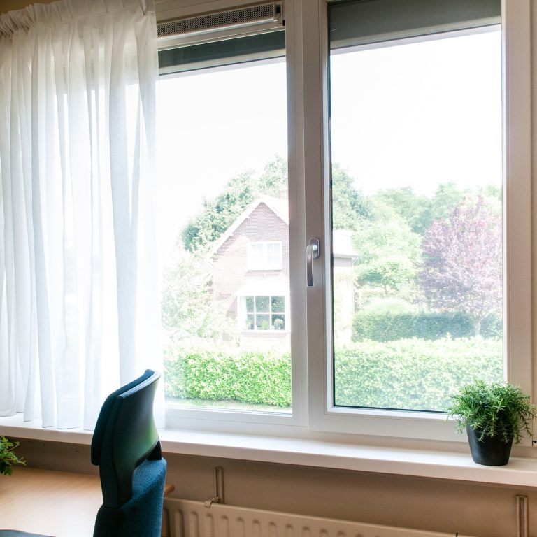 Finestra a due ante in PVC bianco con vista sul giardino (FIN-Window Classic-line 124 PVC-PVC)